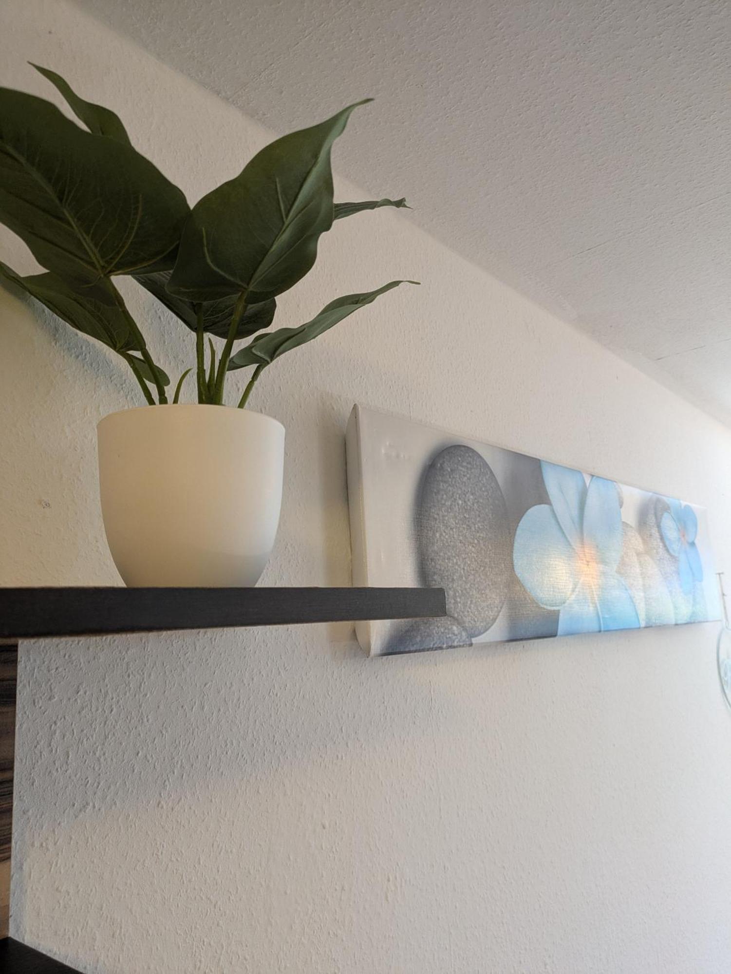 Apartment Gemuetlicher Gluecksplatz Frielendorf